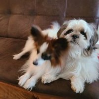 まも (@nteuk2) 's Twitter Profile