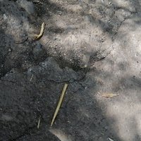 Sağlık56 (@saglk56) Twitter profile photo