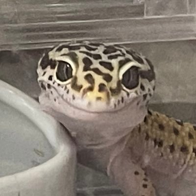 無言フォロー失礼します! (腐ってる,大分発酵してる) 雑食で地雷無し (リツイート多め) 絵はまだまだ頑張る 無断転載・AI学習等禁止成人済 普通に趣味垢でもあります! リプのご返信は無理なさらないでください💦 一次創作始めました!リツイート頂けると幸いです❣️創作垢→@Hekenchyu2