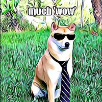 💥Doge Punk💥🚀 (@crypto_punk0) 's Twitter Profile