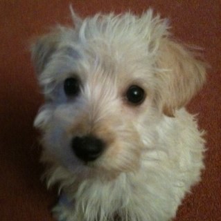 MarkNorthcott1's profile picture. 