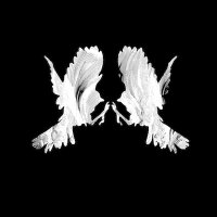 Red Sparowes (@redsparowes) 's Twitter Profile