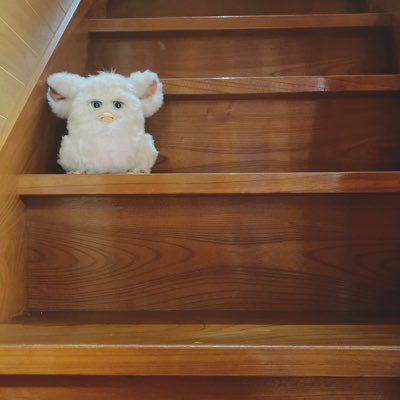 井上って偽の名前なんだけどコレで呼ばれすぎて本名が本名感薄い。神奈川県民ホールと東京国際フォーラムホールAを墓としています。