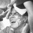 the_goat_rocks's profile image
