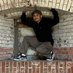 G (@boogieb650) Twitter profile photo G (@boogieb650) Twitter profile photo