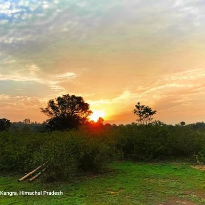 SIDHUMO56786797's profile picture. SIDHU