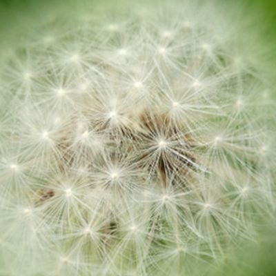 zgmf_shin's profile picture. 