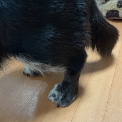 nene_kaz's profile picture. 