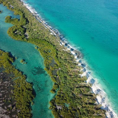 Ecologist / Data Scientist #biodiversity #conservation #datascience  #tech #sustainability | #photography @cinematicsci & IG @markziephoto 🇦🇺👉🇿🇦