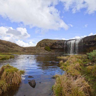 marshetdere's profile picture. Assistant Professor of Law at ESCU