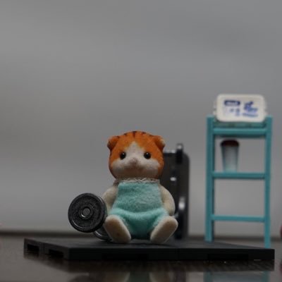 筋トレする赤ちゃんわたるとぼくさんのプロフィール画像