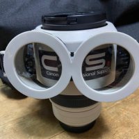 くうねるふとるさんだあ@キラキラポトレ (@kuuneru2010) Twitter profile photo