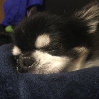 Ren (@renren00033) Twitter profile photo