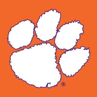 Clemson #1, Triathlete, Systems Analyst