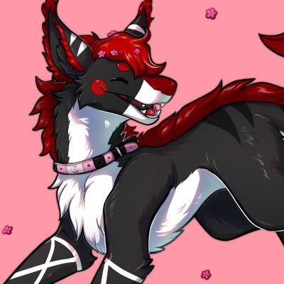 Black_Ookamiiさんのプロフィール画像