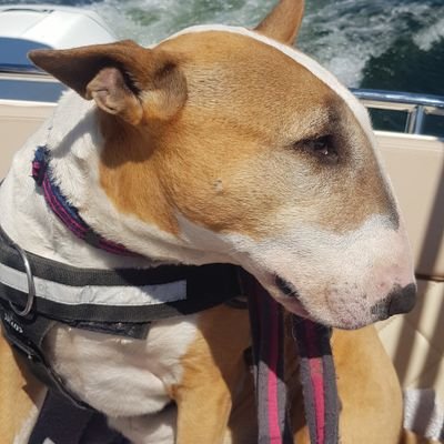 Kelly56883081's profile picture. 