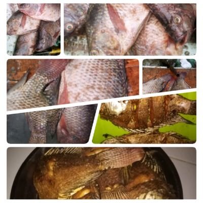 Fresh water fish supplier... Tilapia/Ngege, Nile Perch/Mbuta & Fillets @tilapiapointki1 
For orders contact: 0794 542030 / 0727659509.