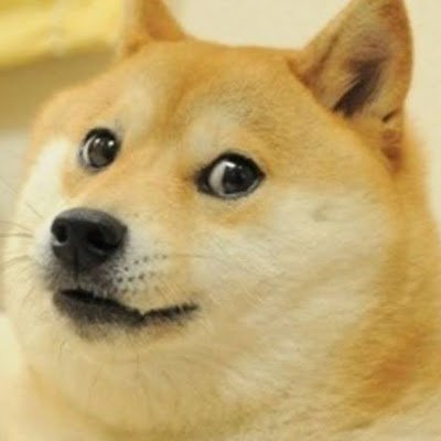 david9958581940's profile picture. 