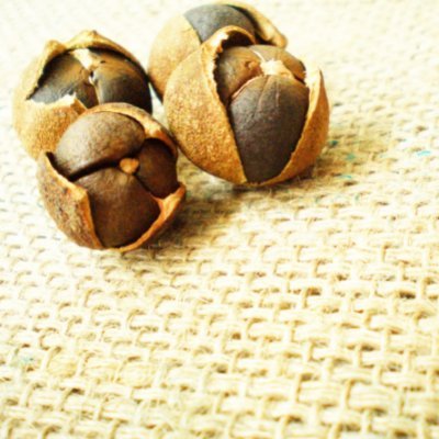 isoap88's profile picture. #HUMANRIGHT