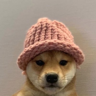 teezy_6's profile picture. 🇩🇪//mnk⌨️//Manager: @44mangoo // @iEvoZz // FA