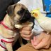 【滋賀県】迷子のオカメインコ探してます (@ciderstam) Twitter profile photo 【滋賀県】迷子のオカメインコ探してます (@ciderstam) Twitter profile photo