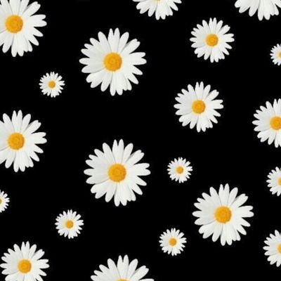 EdaYild36528888's profile picture. Baba sevgisi görmeyenlerin elleri papatya kokar...