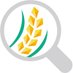 Rice Observatory (@riceobservatory) Twitter profile photo Rice Observatory (@riceobservatory) Twitter profile photo