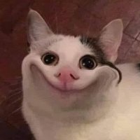 Diamond (@diamond94763008) 's Twitter Profile
