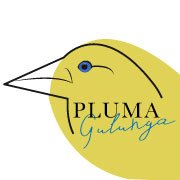 PlumaGulunga (@pluma_gulunga) 's Twitter Profile Photo PlumaGulunga (@pluma_gulunga) 's Twitter Profile Photo