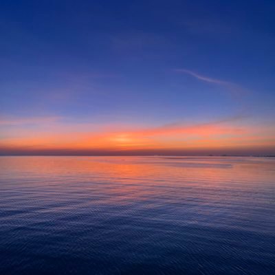 king81937728's profile picture. 