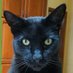 jazcatFL (@jazcatfl) Twitter profile photo jazcatFL (@jazcatfl) Twitter profile photo
