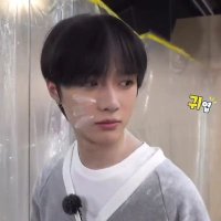 벼락 (@bpuppyleft) 's Twitter Profile