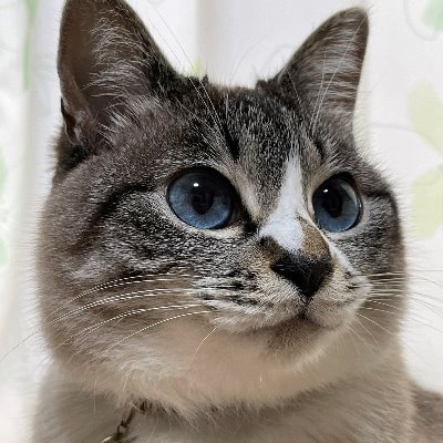 Rest_0013's profile picture. 