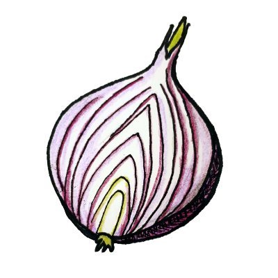 zwiebelCTF's profile picture. CTF team from Esslingen, Germany