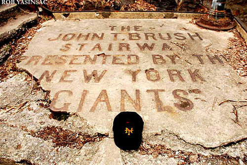 Metropolitans's profile picture. The Last Mets player still playing in the Polo Grounds