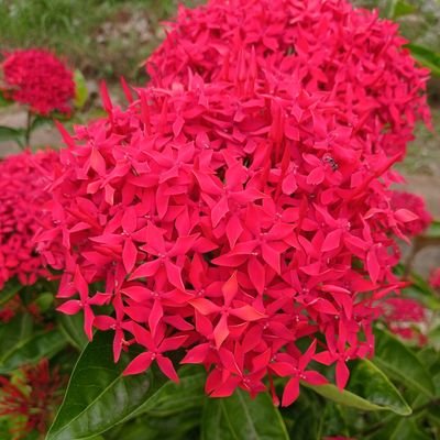 PursethPriya's profile picture. a person who help people to learn!!
🤖