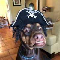 Scramasax (@scramasax17) 's Twitter Profile