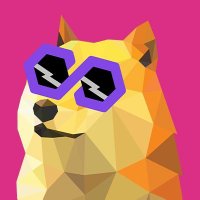 PolyDoge en Español 🐶(@PolyDoge_es) 's Twitter Profile Photo