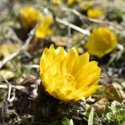 F0VRaqxgnIzo4fm's profile picture. 勉強がんばる。看護学校3年。
#QuizKnockと学ぼう #QK学ぼうメイト に参加中。