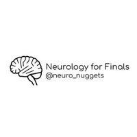 Neuro Nuggets (@neuro_nuggets) 's Twitter Profile