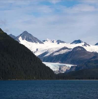 cemaldoski's profile picture. ‏‏Her zaman seni takdir eden insanlarla ol
              همیشه با افرادی باشید که قدر شما را می دانند