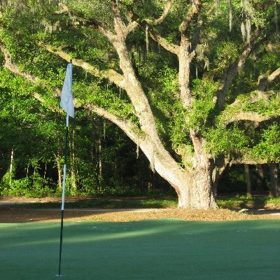 fitgolfindy's profile picture. Offering complete golf health, fitness and performance training 
programs. 317.777.3892