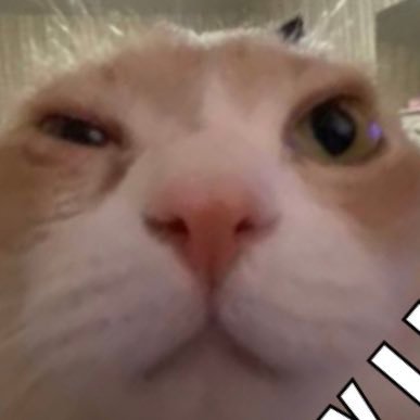 Eさんのプロフィール画像