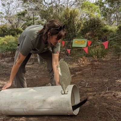 PhD candidate @UTAS researching eastern barred bandicoots and their relationship with cats