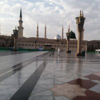 منذر محمد (@m_shagga) 's Twitter Profile