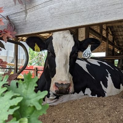 My dog was mentioned in a White House PR. https://t.co/YJcjVIFO62  Taking a break from twitter while I serve CT farmers as USDA FSA State Executive Director