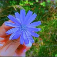 AyseGul Ygtoglu (@aygtoglu) 's Twitter Profile