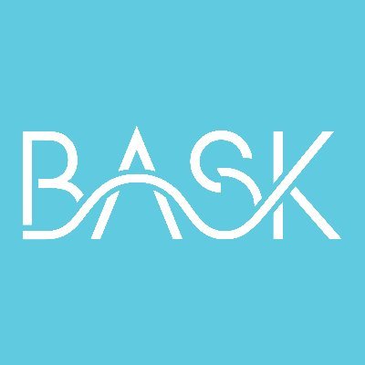 BASK Digital Media is a full-service digital strategy and marketing agency specializing in public affairs efforts, issue advocacy, and ballot measures.