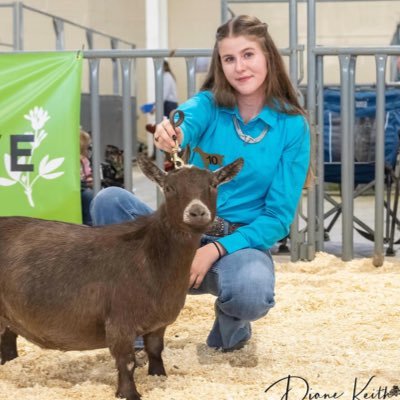 hollyparks_'s profile picture. goats, cows, & my dog. fresno state ‘23