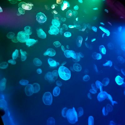 beautifl_world's profile picture. 